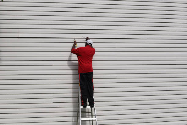 Best Vinyl Siding Installation  in St Anne, IL